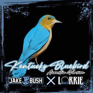 Kentucky Bluebird (Acoustic)