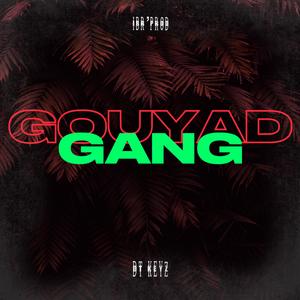 GOUYAD GANG (feat. DT KEYZ)