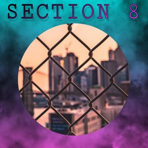 Section 8 (Explicit)