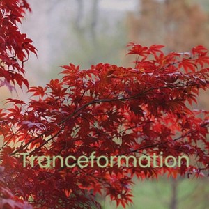 Tranceformation