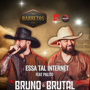 Essa Tal de Internet