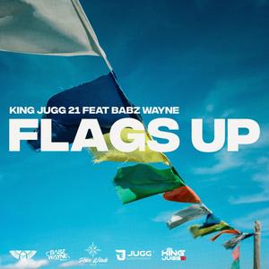 FLAGS UP