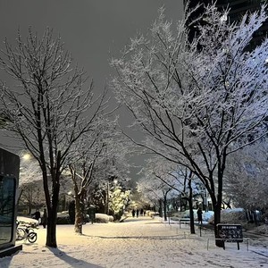 lick it (至尊迷幻鼓)