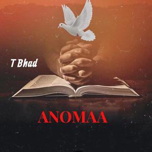 Anomaa (Radio Edit)