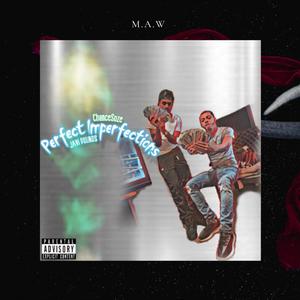 Perfect Imperfections (Explicit)