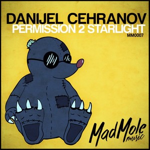 Permission 2 Starlight