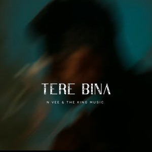 Tere Bina