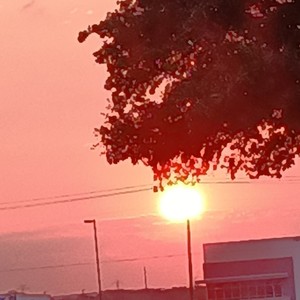 Wild Sides (feat. Pappy The Don)