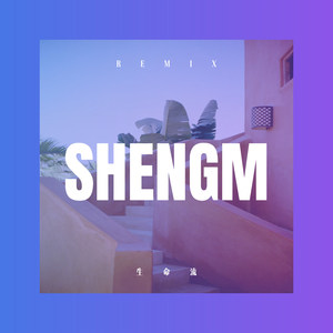 吉祥藏历年 (DJ版)