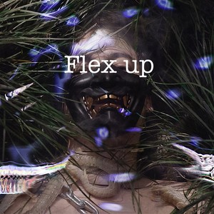 FLEX UP