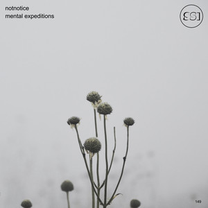 Mental Expedition Five(28°29'22.9n 84°11'17.6e)