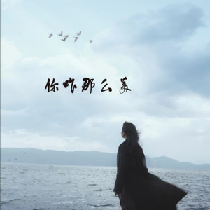 你咋那么美 (动感版)