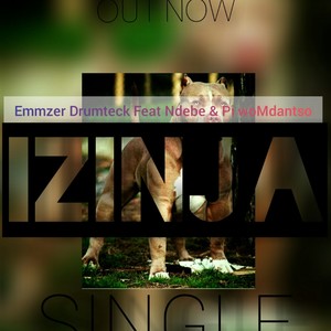 Izinja (feat. Ndebe & Pi woMdantso)