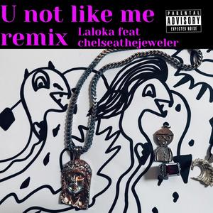 U Not Like Me (feat. LA LOKA) [Remix] [Explicit]