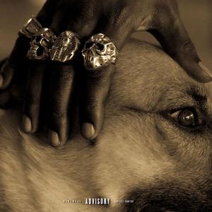 Langue des signes (Explicit)