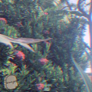 graveyard (feat. dylan lotus & DJ ANDREW) (Explicit)