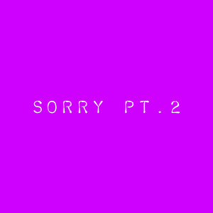 Sorry Pt.2 (Explicit)