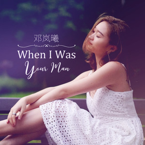 When I Was Your Man
