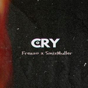 Cry (feat. Smizmuller) [Explicit]