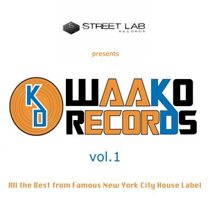 Streetlab presents The Best of Waako Records Vol.1