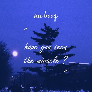 "have you seen the miracle?" (Demo Ver.)