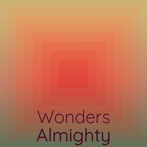 Wonders Almighty