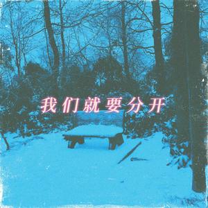 我们就要分开