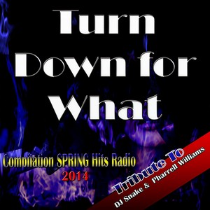 Turn Down for What: Tribute to DJ Snake & Pharrell Williams (Compilation Spring Hits Radio 2014)