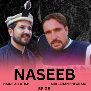 Naseeb