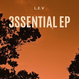 FLY (Explicit)