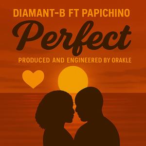 Perfect (feat. Papichino)