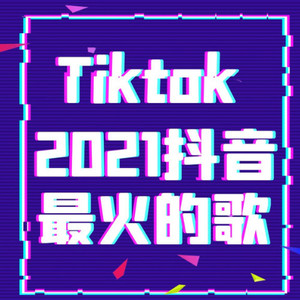 [2021抖音最火的歌]Vol.361凤凰传奇泪海 (Live)-小末