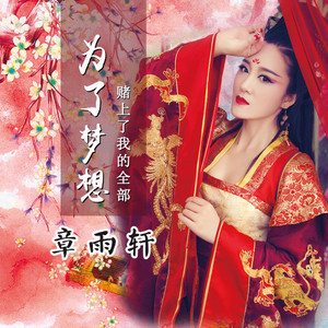 为了梦想我赌上了全部