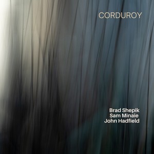Corduroy