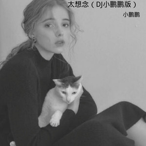 太想念 (DJ小鹏鹏版)