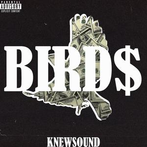 Bird$ (feat. Lance DeVinci, Big16 Balla & West$ide Dallas) [Explicit]