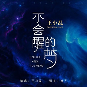 王小乱 - 不会醒的梦 (DJ伟然版伴奏)