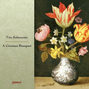 Chamber Music (Baroque) - SCHOP, J. / SCHMELZER, J.H. / MUFFAT, G. / KRIEGER, J.P. / BUXTEHUDE, D. (