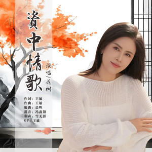 资中情歌 (DJ九锐版)