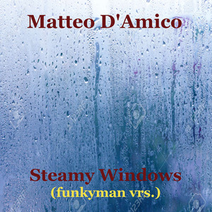 Steamy Windows (Funkyman Vrs)