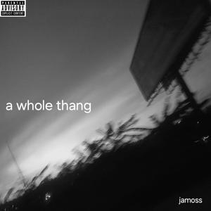 a whole thang (Explicit)