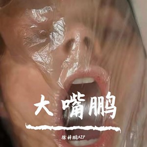 大嘴鹏 (prod.XVIBE)
