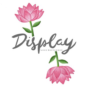 Display (Explicit)