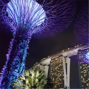 Bluesky in the Night.(feat. Dylan Bloor)