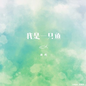 金凡 - 我是一只鱼