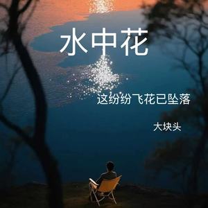 水中花（这纷纷飞花已坠落）