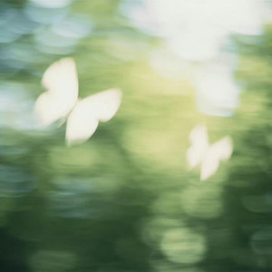 有时放开一点 (对爱也是种成全)