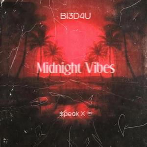 Midnight Vibes (Explicit)