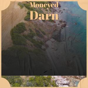 Moneyed Darn
