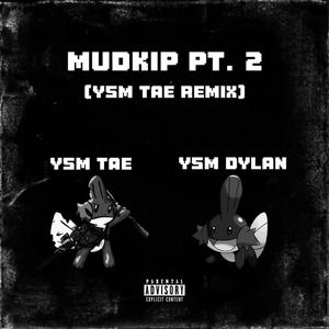 Mudkip, Pt. 2 (YSM Tae Version) [Explicit]